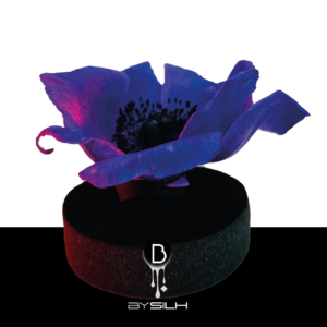 BAGUE “KYS” B-ULTRA