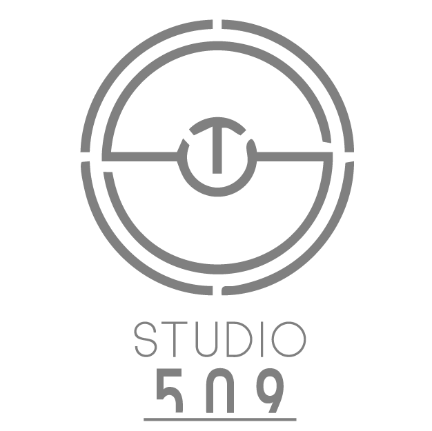 Logo partenaire Studio 509